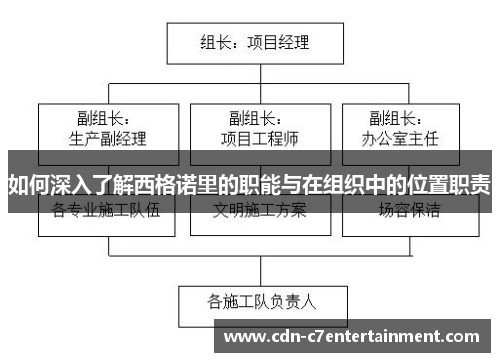 如何深入了解西格诺里的职能与在组织中的位置职责