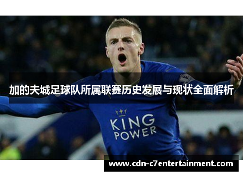 加的夫城足球队所属联赛历史发展与现状全面解析 加的夫城足球队所属联赛历史发展与现状全面解析