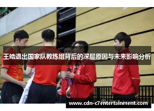王皓退出国家队教练组背后的深层原因与未来影响分析