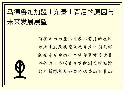 马德鲁加加盟山东泰山背后的原因与未来发展展望